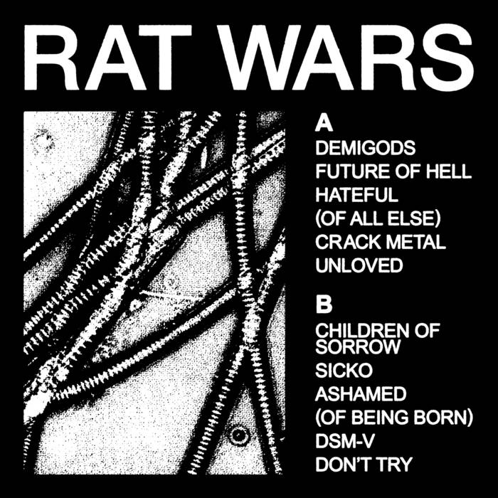 Cover image for RAT WARS by HEALTH